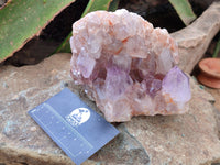 Natural Jacaranda Amethyst Quartz Clusters x 2 From Mumbwa, Zambia - Toprock Gemstones and Minerals