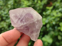 Natural Jacaranda Amethyst Quartz Crystals x 24 From Mumbwa, Zambia - Toprock Gemstones and Minerals