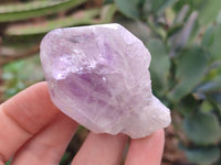 Natural Jacaranda Amethyst Quartz Crystals x 24 From Mumbwa, Zambia - Toprock Gemstones and Minerals