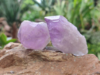 Natural Jacaranda Amethyst Quartz Crystals x 24 From Mumbwa, Zambia - Toprock Gemstones and Minerals