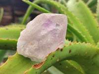Natural Jacaranda Amethyst Quartz Crystals x 24 From Mumbwa, Zambia - Toprock Gemstones and Minerals