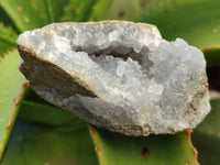 Natural Blue Lace Agate Geode Specimens x 12 From Nsanje, Malawi - Toprock Gemstones and Minerals