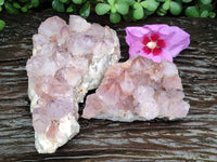 Natural Amethyst Spirit Quartz Clusters x 2 From Boekenhouthoek, South Africa - Toprock Gemstones and Minerals
