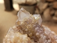 Natural Ametrine Spirit Quartz Clusters x 6 From Boekenhouthoek, South Africa - Toprock Gemstones and Minerals