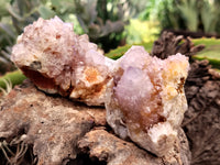 Natural Ametrine Spirit Quartz Clusters x 6 From Boekenhouthoek, South Africa - Toprock Gemstones and Minerals