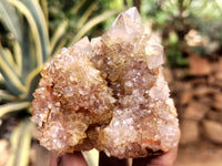 Natural Ametrine Spirit Quartz Clusters x 6 From Boekenhouthoek, South Africa - Toprock Gemstones and Minerals