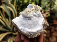 Natural Blue Lace Agate Geode Specimens x 12 From Nsanje, Malawi - Toprock Gemstones and Minerals