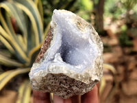 Natural Blue Lace Agate Geode Specimens x 12 From Nsanje, Malawi - Toprock Gemstones and Minerals