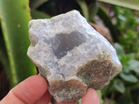 Natural Blue Lace Agate Geode Specimens x 12 From Nsanje, Malawi - Toprock Gemstones and Minerals