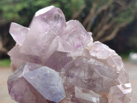 Natural Jacaranda Amethyst Quartz Clusters x 3 From Mumbwa, Zambia - Toprock Gemstones and Minerals