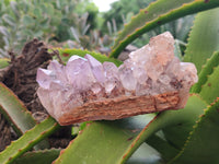 Natural Jacaranda Amethyst Quartz Clusters x 3 From Mumbwa, Zambia - Toprock Gemstones and Minerals