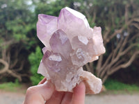 Natural Jacaranda Amethyst Quartz Clusters x 3 From Mumbwa, Zambia - Toprock Gemstones and Minerals