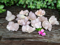 Natural Amethyst Spirit Quartz Clusters x 12 From Boekenhouthoek, South Africa - Toprock Gemstones and Minerals