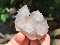 Natural Amethyst Spirit Quartz Clusters x 12 From Boekenhouthoek, South Africa - Toprock Gemstones and Minerals