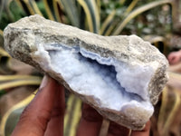 Natural Blue Lace Agate Geode Specimens x 6 From Nsanje, Malawi - Toprock Gemstones and Minerals
