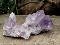 Natural Jacaranda Amethyst Single Quartz Crystal x 24 From Mumbwa, Zambia - Toprock Gemstones and Minerals