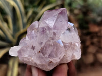 Natural Jacaranda Amethyst Single Quartz Crystal x 24 From Mumbwa, Zambia - Toprock Gemstones and Minerals
