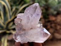 Natural Jacaranda Amethyst Single Quartz Crystal x 24 From Mumbwa, Zambia - Toprock Gemstones and Minerals