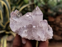 Natural Jacaranda Amethyst Single Quartz Crystal x 24 From Mumbwa, Zambia - Toprock Gemstones and Minerals
