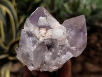 Natural Jacaranda Amethyst Single Quartz Crystal x 24 From Mumbwa, Zambia - Toprock Gemstones and Minerals