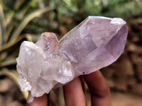 Natural Jacaranda Amethyst Single Quartz Crystal x 24 From Mumbwa, Zambia - Toprock Gemstones and Minerals