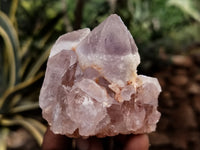 Natural Jacaranda Amethyst Single Quartz Crystal x 24 From Mumbwa, Zambia - Toprock Gemstones and Minerals