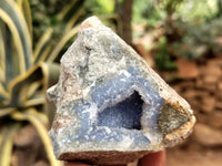 Natural Blue Lace Agate Geode Specimens x 12 From Nsanje, Malawi - Toprock Gemstones and Minerals