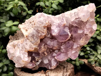Natural Jacaranda Amethyst Quartz Cluster x 1 From Mumbwa, Zambia - Toprock Gemstones and Minerals