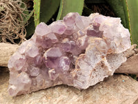 Natural Jacaranda Amethyst Quartz Cluster x 1 From Mumbwa, Zambia - Toprock Gemstones and Minerals