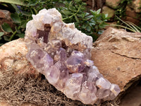 Natural Jacaranda Amethyst Quartz Cluster x 1 From Mumbwa, Zambia - Toprock Gemstones and Minerals