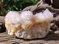 Natural Lilac Cactus Spirit Quartz Clusters x 2 From South Africa - Toprock Gemstones and Minerals