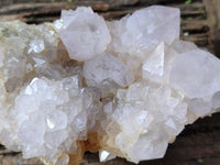 Natural Lilac Cactus Spirit Quartz Clusters x 2 From South Africa - Toprock Gemstones and Minerals