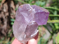 Natural Jacaranda Amethyst Quartz Crystals x 12 From Mumbwa, Zambia - Toprock Gemstones and Minerals