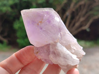 Natural Jacaranda Amethyst Quartz Crystals x 12 From Mumbwa, Zambia - Toprock Gemstones and Minerals
