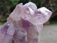 Natural Jacaranda Amethyst Quartz Cluster x 3 From Mumbwa, Zambia - Toprock Gemstones and Minerals