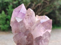 Natural Jacaranda Amethyst Quartz Cluster x 3 From Mumbwa, Zambia - Toprock Gemstones and Minerals