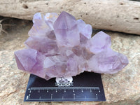 Natural Jacaranda Amethyst Quartz Cluster x 3 From Mumbwa, Zambia - Toprock Gemstones and Minerals