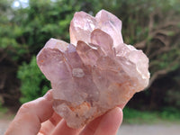 Natural Jacaranda Amethyst Quartz Cluster x 3 From Mumbwa, Zambia - Toprock Gemstones and Minerals