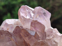 Natural Jacaranda Amethyst Quartz Cluster x 3 From Mumbwa, Zambia - Toprock Gemstones and Minerals