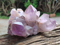 Natural Jacaranda Amethyst Quartz Cluster x 3 From Mumbwa, Zambia - Toprock Gemstones and Minerals
