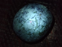 Polished Mix Of Selected Palm Stones x 12 From Madagascar - Toprock Gemstones and Minerals