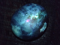 Polished Mix Of Selected Palm Stones x 12 From Madagascar - Toprock Gemstones and Minerals