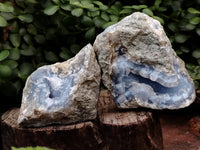 Natural Blue Lace Agate Geode Specimens x 6 From Nsanje, Malawi - Toprock Gemstones and Minerals