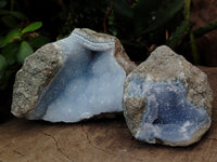 Natural Blue Lace Agate Geode Specimens x 6 From Nsanje, Malawi - Toprock Gemstones and Minerals