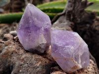 Natural Jacaranda Amethyst Single Quartz Crystals x 35 From Mumbwa, Zambia - Toprock Gemstones and Minerals