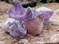 Natural Jacaranda Amethyst Single Quartz Crystals x 35 From Mumbwa, Zambia - Toprock Gemstones and Minerals