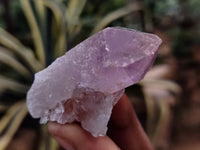 Natural Jacaranda Amethyst Single Quartz Crystals x 35 From Mumbwa, Zambia - Toprock Gemstones and Minerals