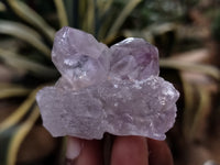 Natural Jacaranda Amethyst Single Quartz Crystals x 35 From Mumbwa, Zambia - Toprock Gemstones and Minerals