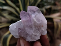 Natural Jacaranda Amethyst Single Quartz Crystals x 35 From Mumbwa, Zambia - Toprock Gemstones and Minerals