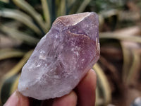 Natural Jacaranda Amethyst Single Quartz Crystals x 35 From Mumbwa, Zambia - Toprock Gemstones and Minerals